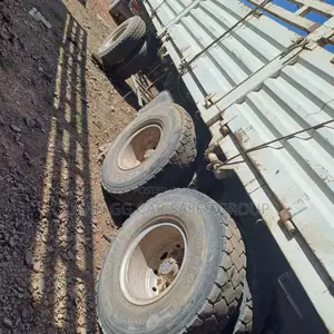 Mesfin Tesabi. Bicha