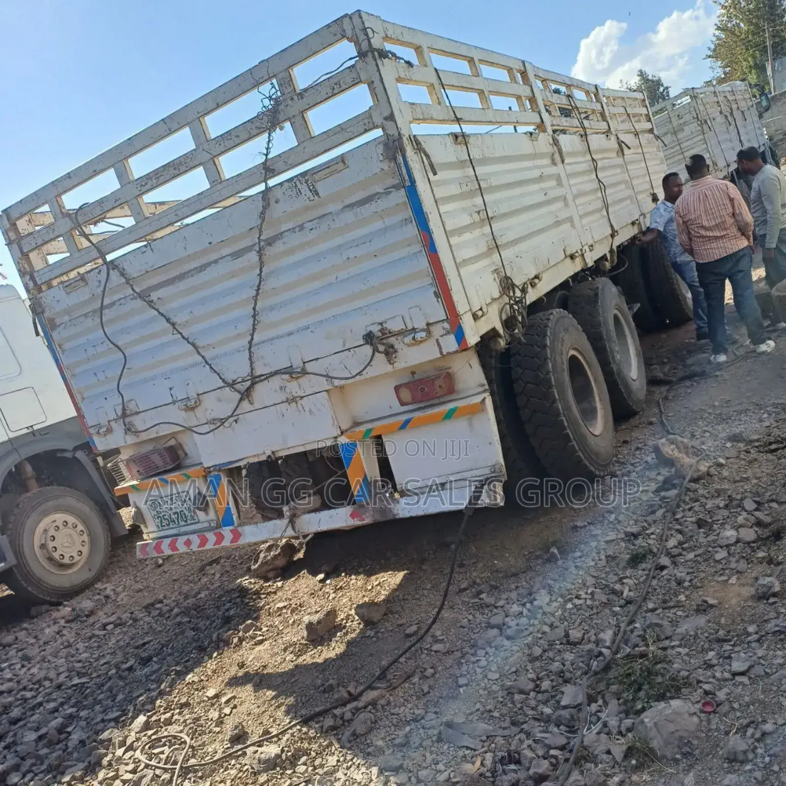 Mesfin Tesabi. Bicha