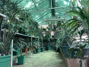 3bdrm Villa in Casa Ymg, Yeka for rent