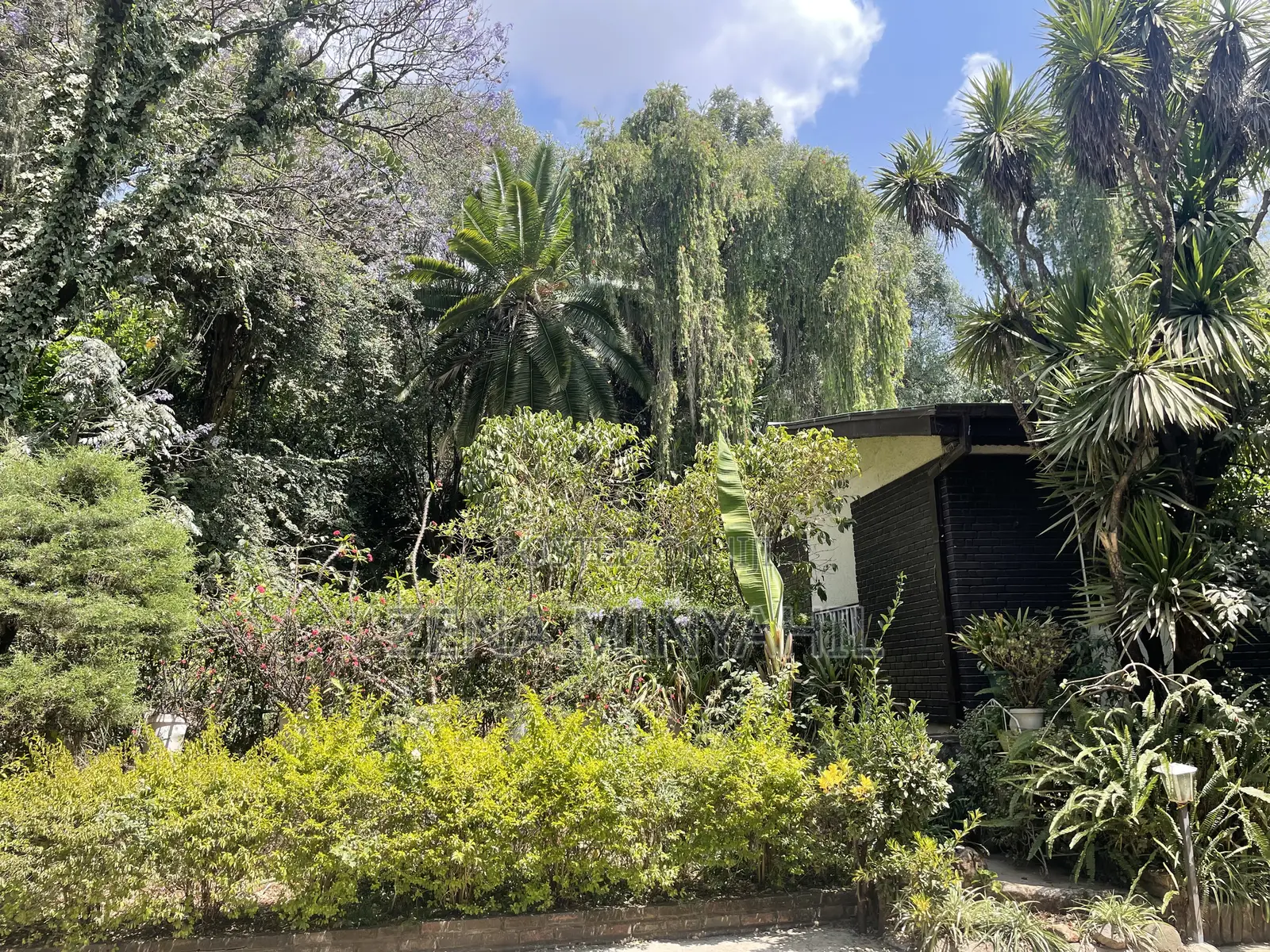 3bdrm Villa in Casa Ymg, Yeka for rent