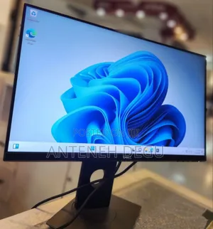 Computer Monitor 24 Inch