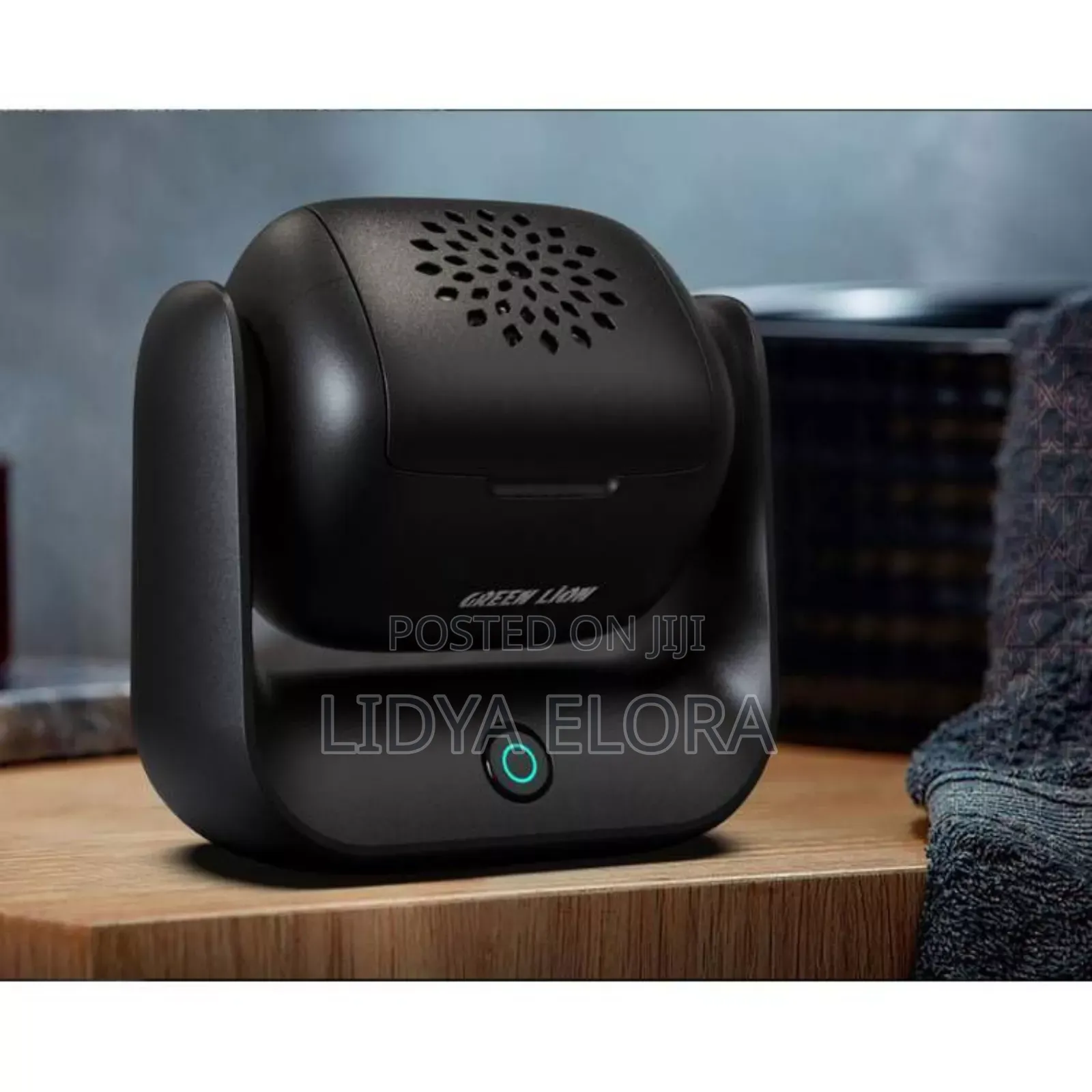 Green Lion Rotatable Incense Burner