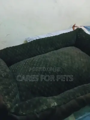 Brown Large Size Dog Bed