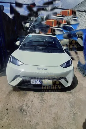 Photo - BYD Seagull 2024 White