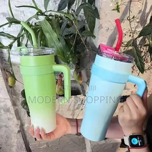 Double Layer Stainless Still Isolated Tumblers With Straw