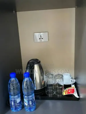 Furnished 1bdrm Apartment in Namibia Street, Bole for rent