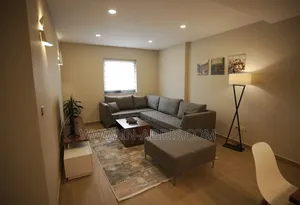 Furnished 2bdrm Apartment in Bole for rent