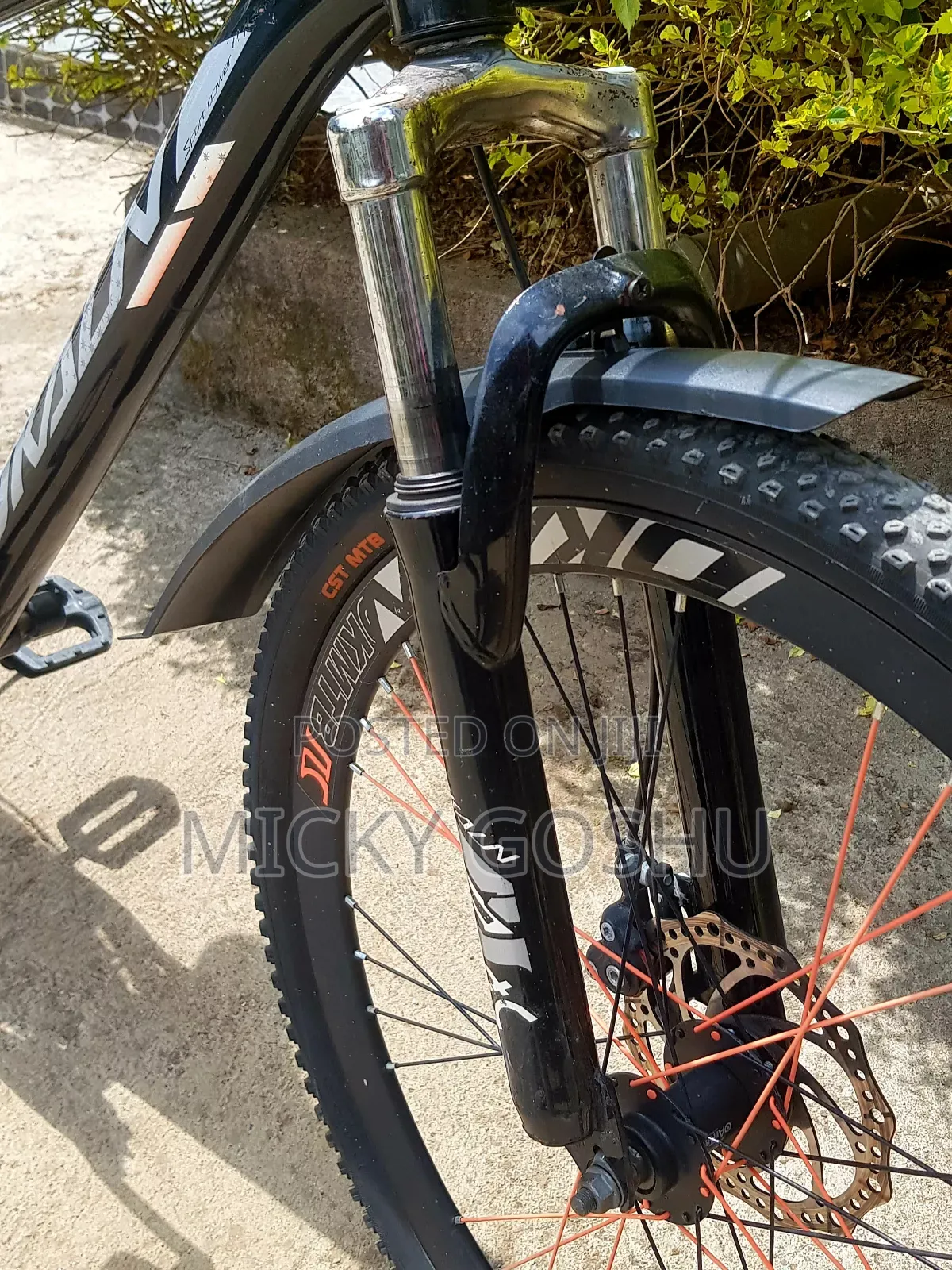 Orgional Phonex Aluminum Bike
