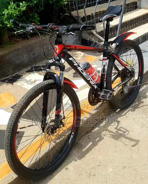 Orgional Phonex Aluminum Bike