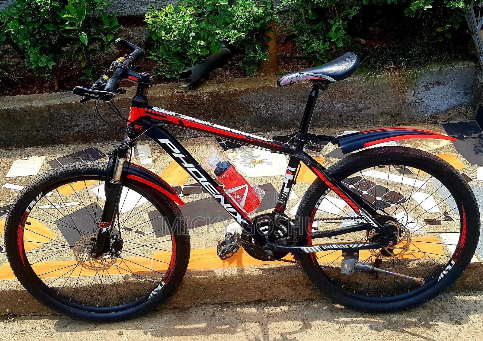 Orgional Phonex Aluminum Bike