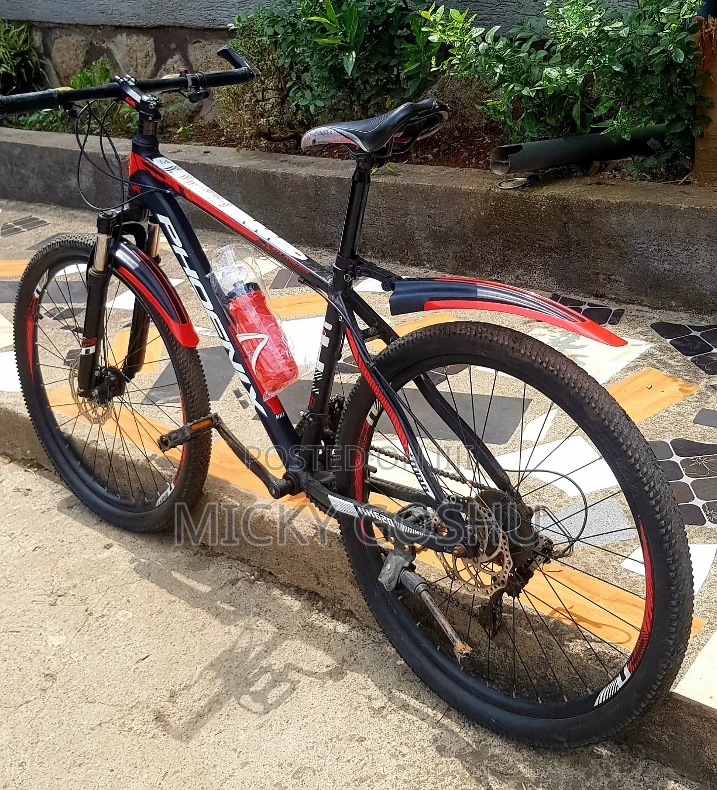 Orgional Phonex Aluminum Bike