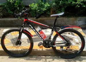 Orgional Phonex Aluminum Bike