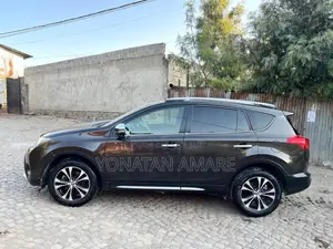 Toyota RAV4 2015 Brown