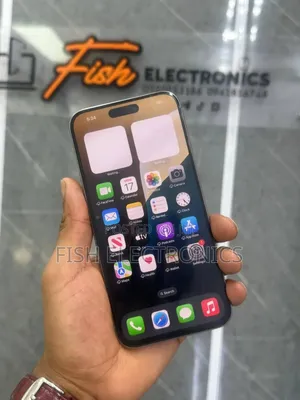 Apple iPhone 15 Pro Max 256 GB Gray