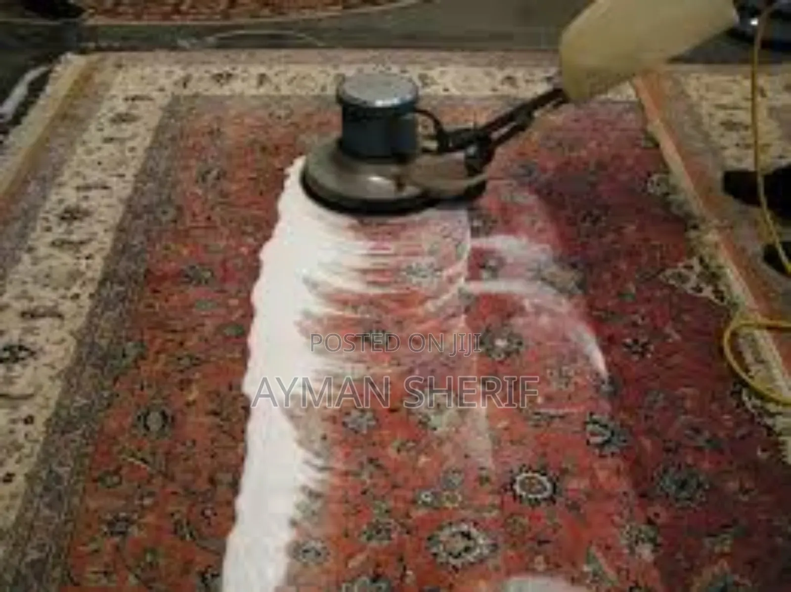 Deep Carpet Cleaning and Care
