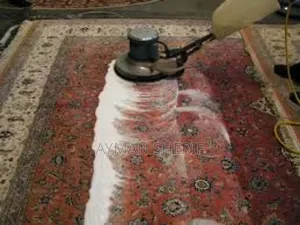 Photo - Deep Carpet Cleaning and Care