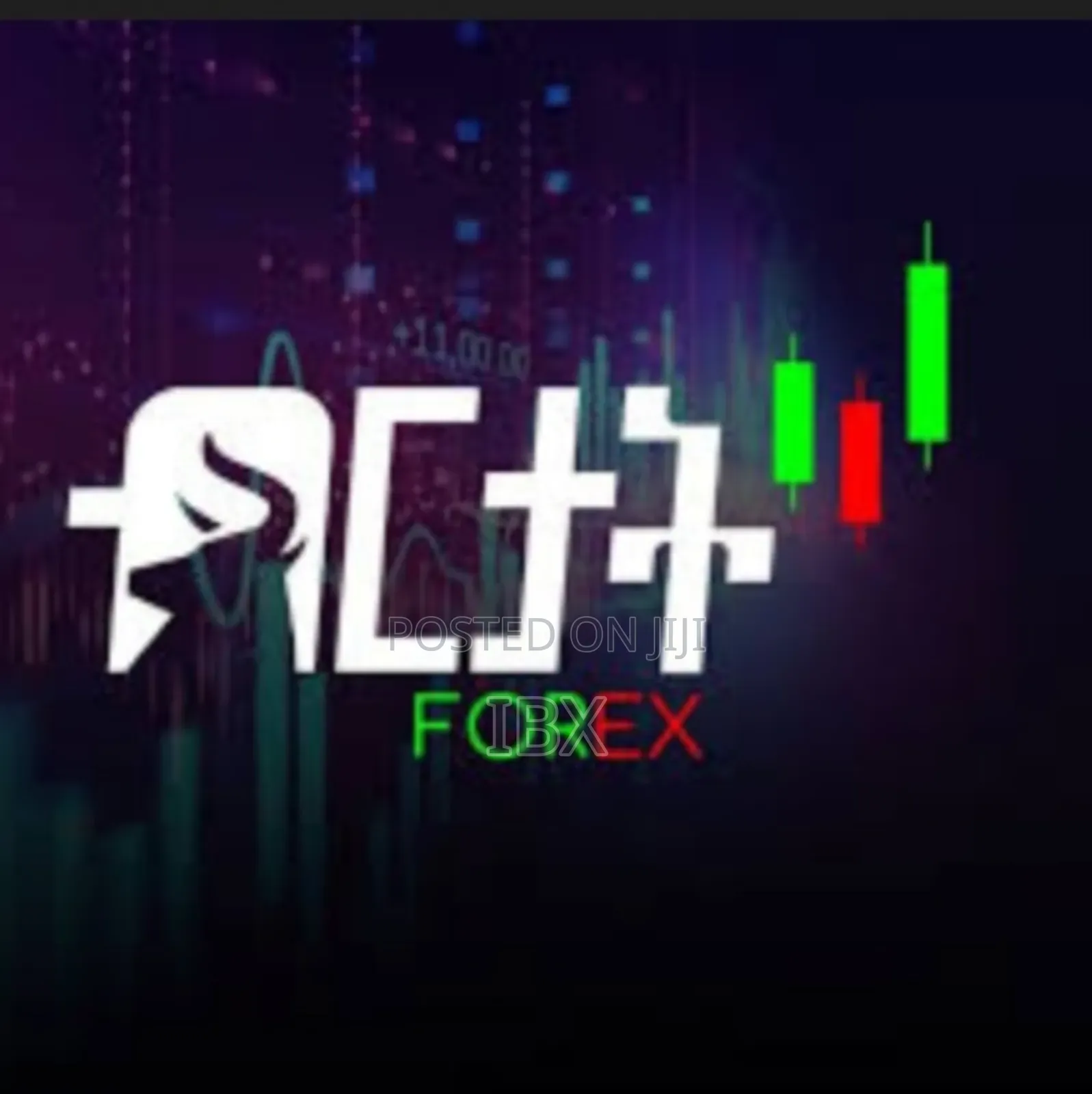 Birtat Forex Course