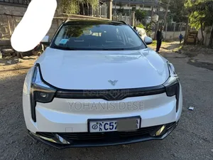 Photo - Hozon Neta U 2023 White