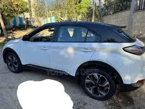 Hozon Neta U 2023 White