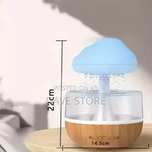 Cloud Rain Humidifier