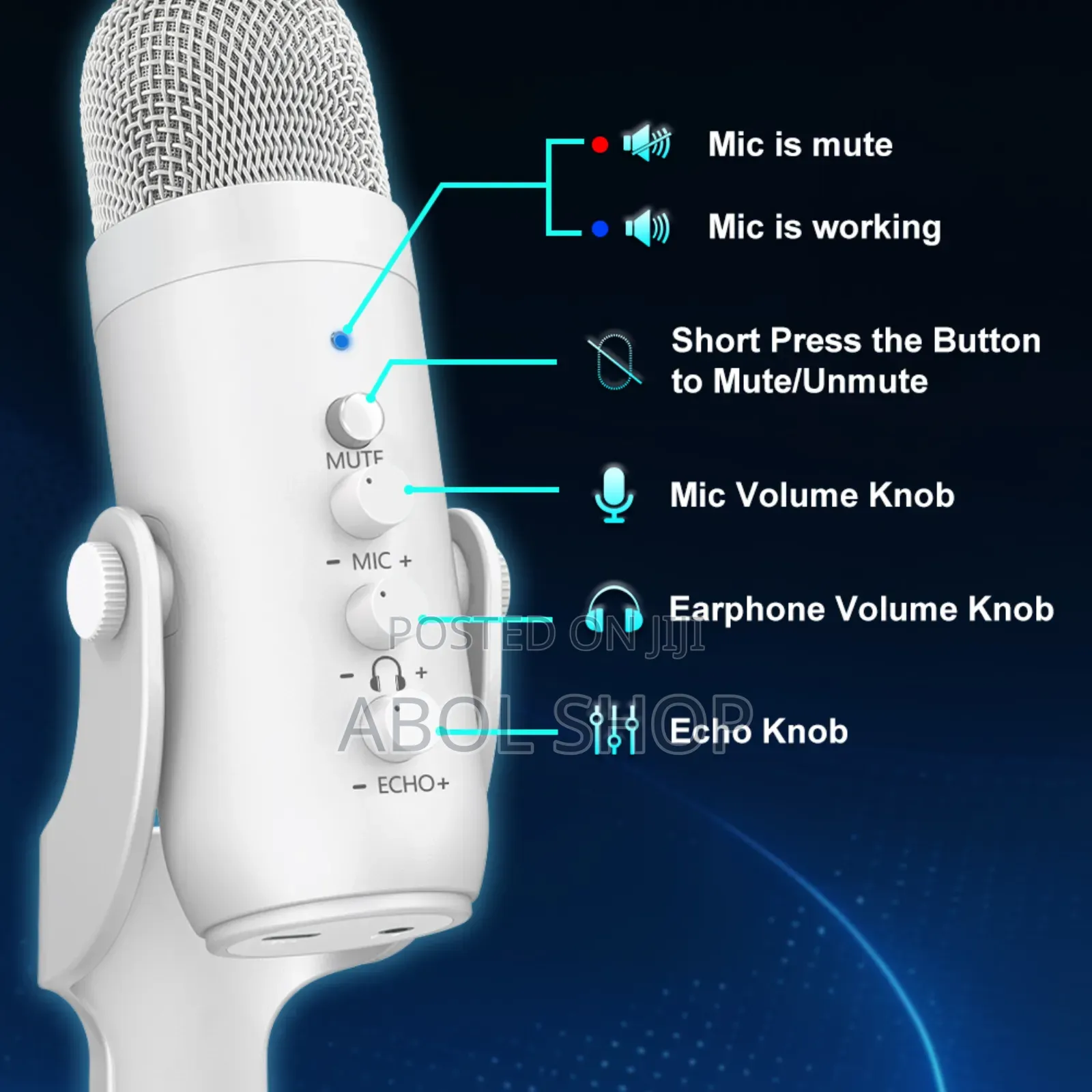 Condenser Microphone