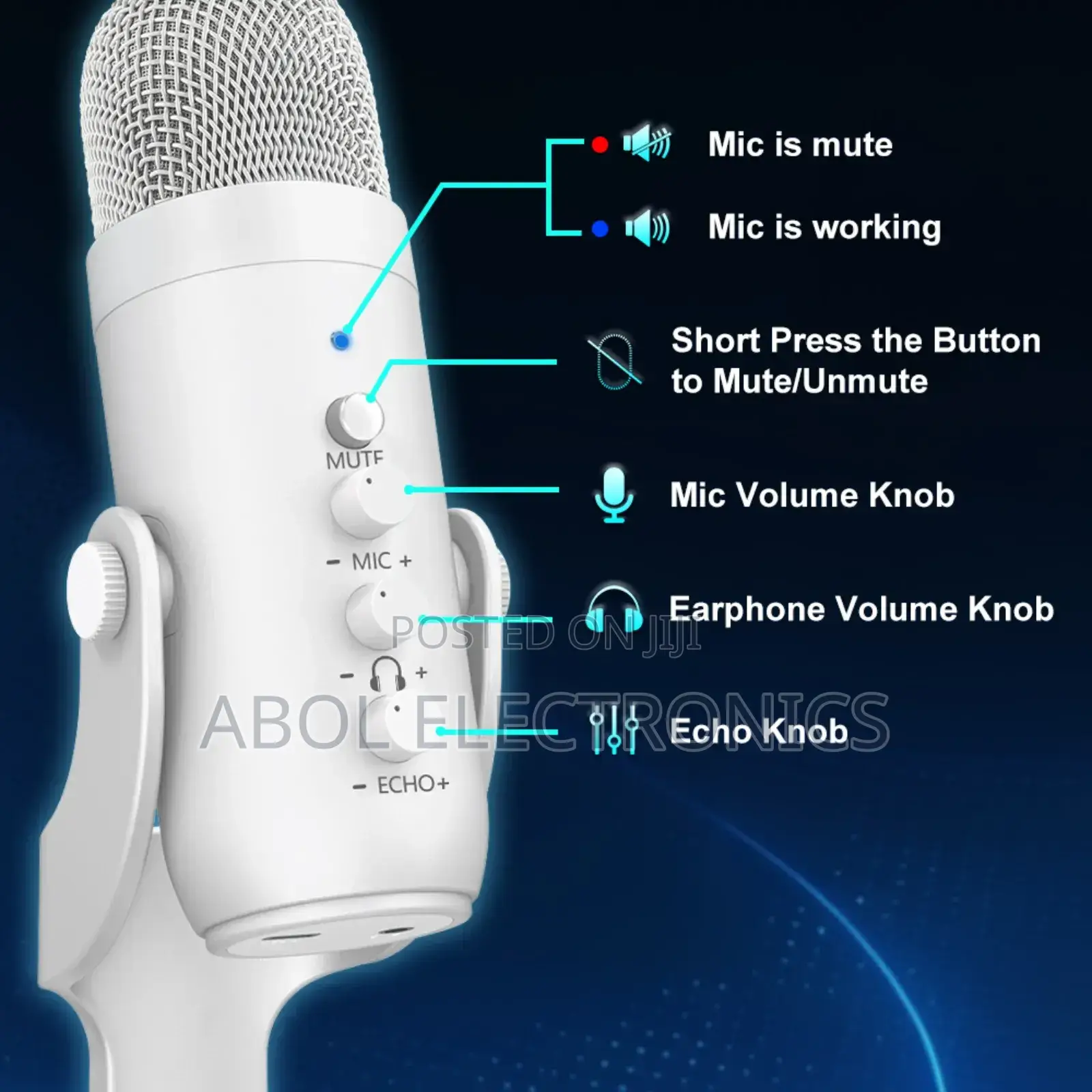 Condenser Microphone