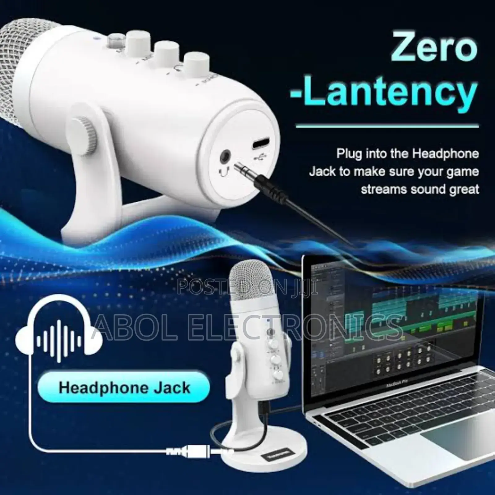 Condenser Microphone