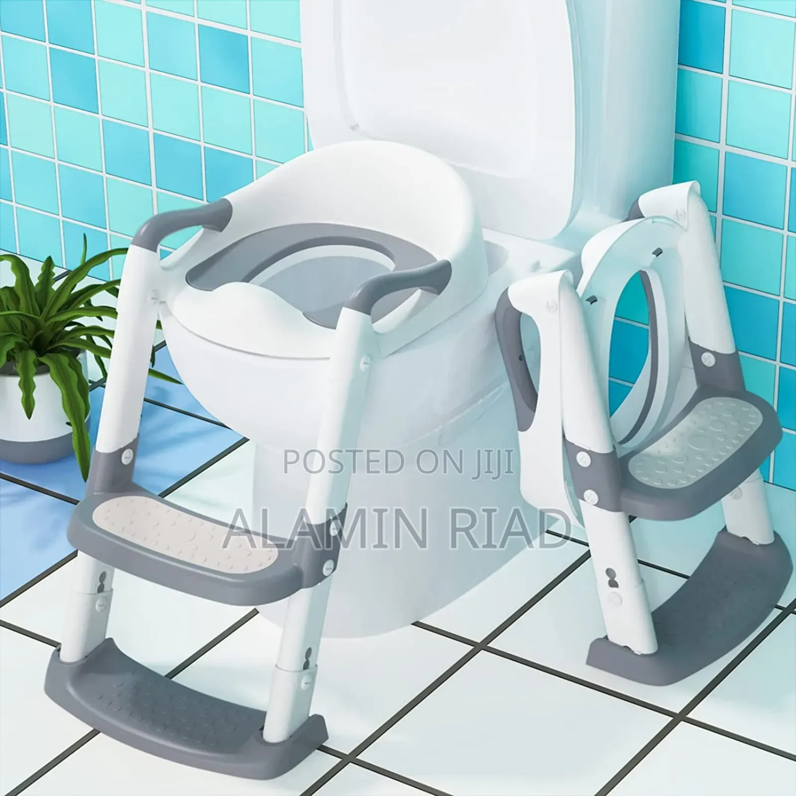 Potty Trainer Seat
