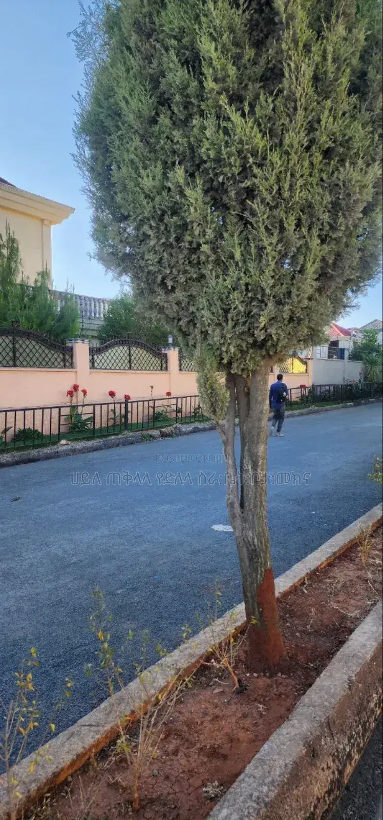 6bdrm Townhouse/Terrace in Roseta Real State, Oromia-Finfinne for sale