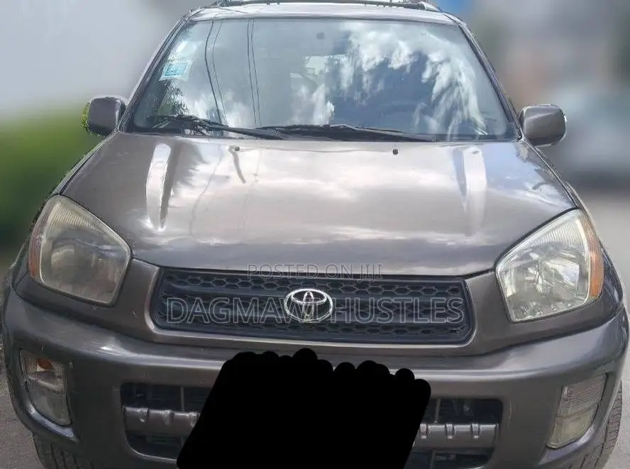Toyota RAV4 2001 Brown