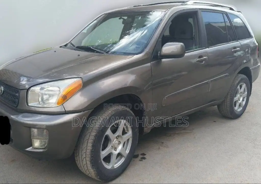 Toyota RAV4 2001 Brown