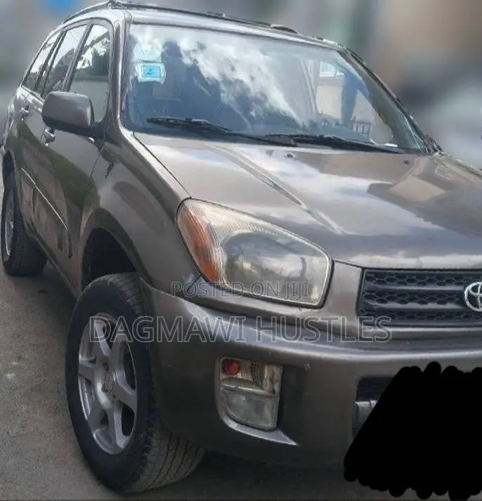 Toyota RAV4 2001 Brown