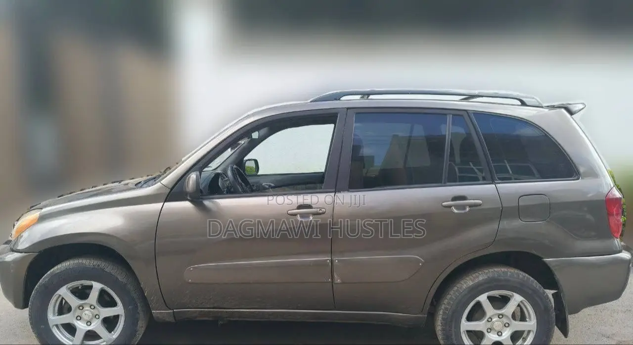 Toyota RAV4 2001 Brown