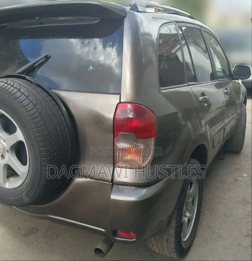 Toyota RAV4 2001 Brown