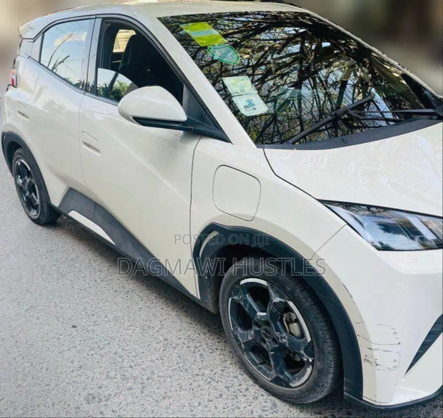 BYD Seagull 38 kWh FWD 2024 Beige