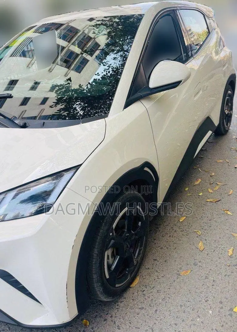 BYD Seagull 38 kWh FWD 2024 Beige