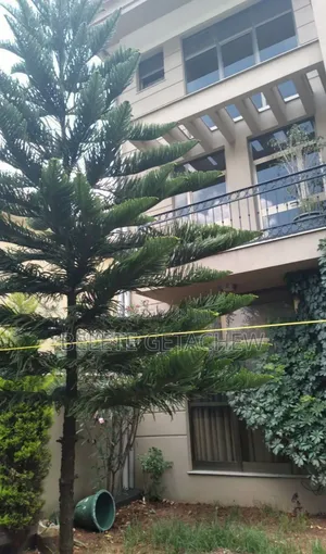 Photo - 6bdrm House in Ayat, B+G+2 House, Bole for sale