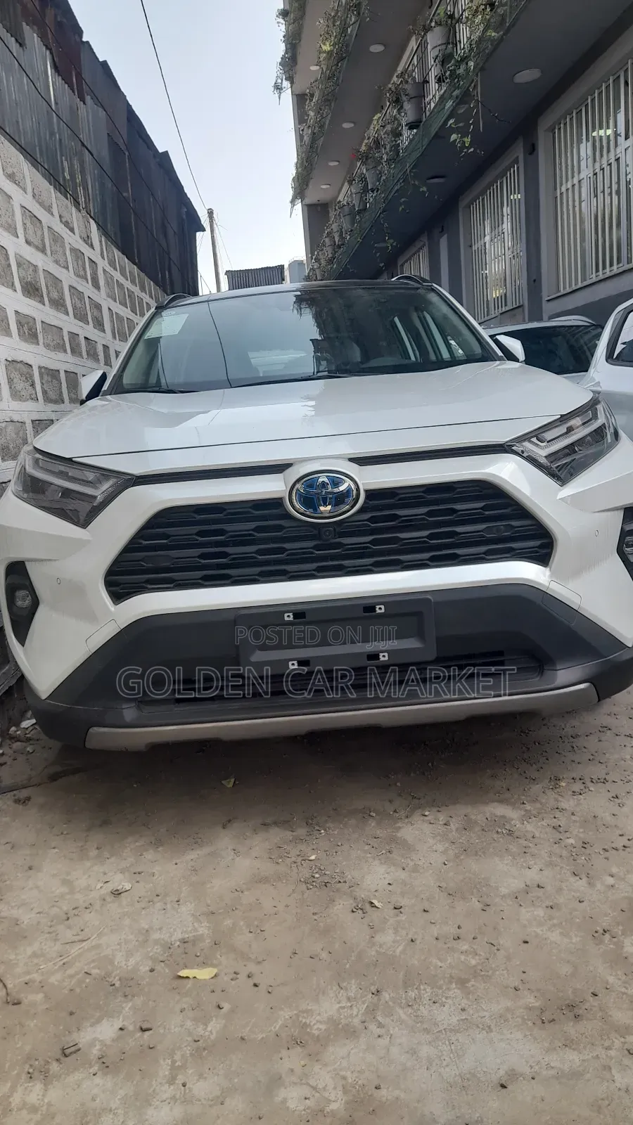 New Toyota RAV4 2024 White