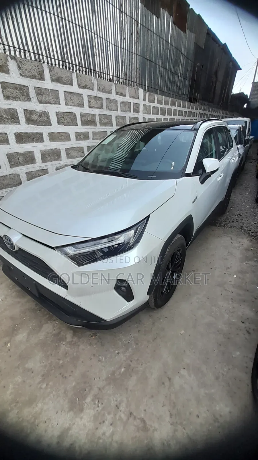 New Toyota RAV4 2024 White