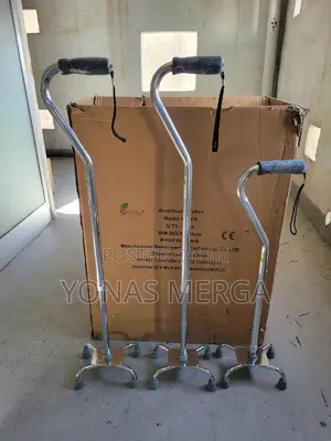 Photo - Walking Stick፪cane~Balance Issues or Recovering From Stroke