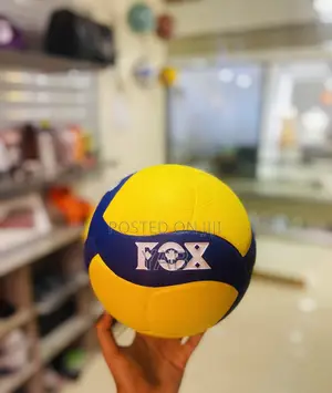 Photo - Fox Volleyball