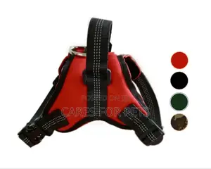 Photo - Red_saddle Harness