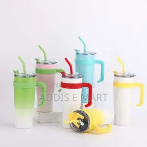 Double Layer Stainless Still With Straw (Travel Cup)