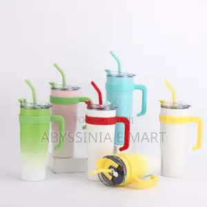 Double Layer Stainless Still With Straw (Travel Cup)