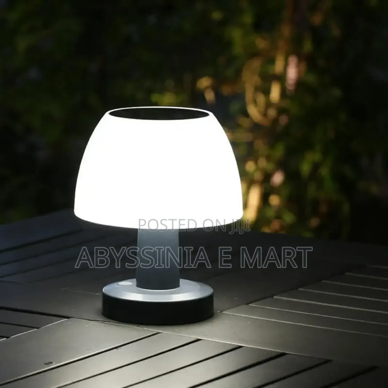 Rechargeable LED Table Lamp