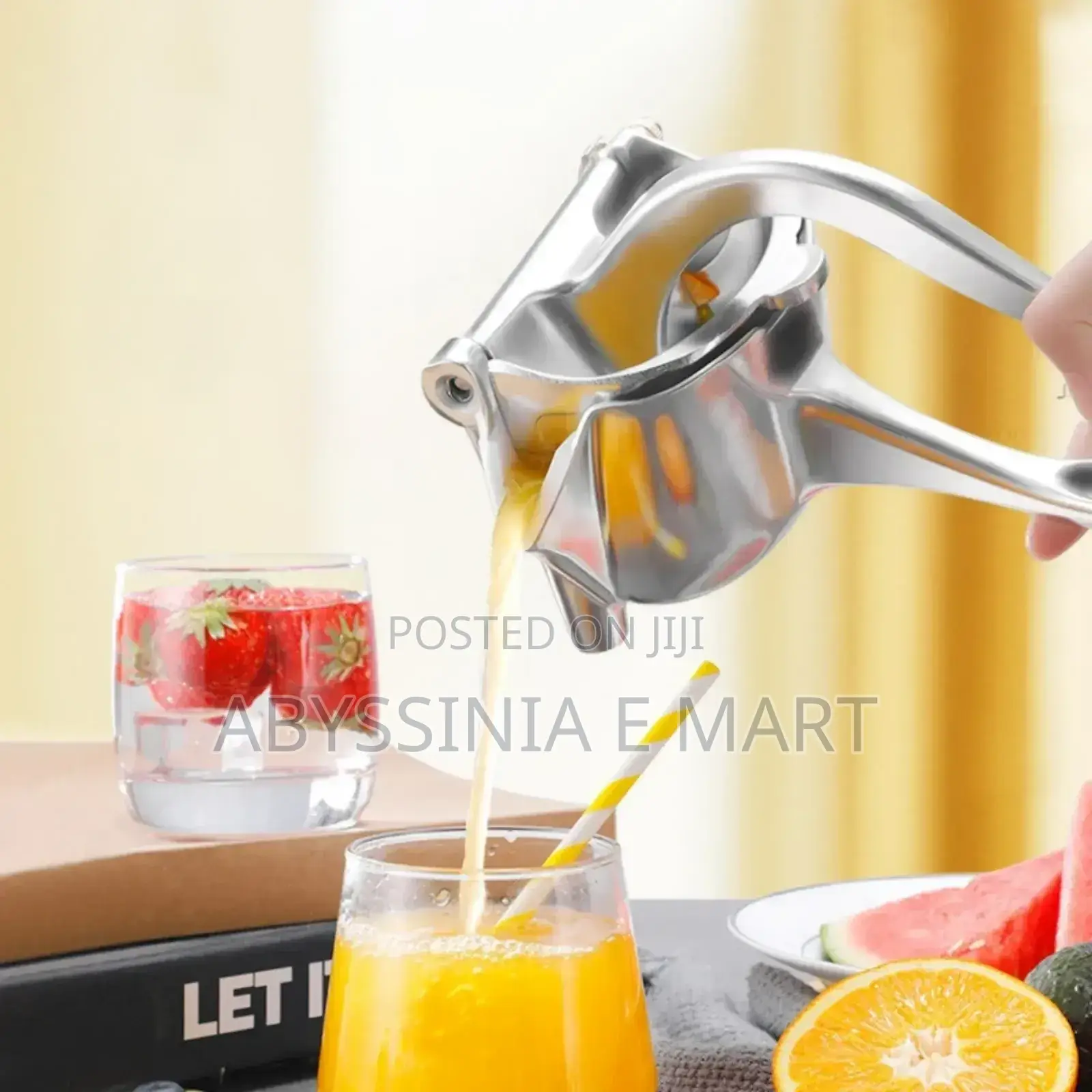Manual Fruit Press