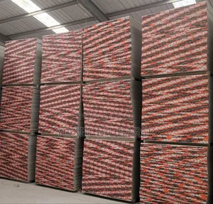 Photo - Gypsum Board Elephant