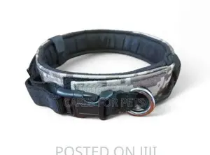Super Durable and Safe New Brand Dog Collar