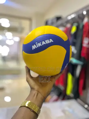 Photo - Mikasa Standard Volleyball