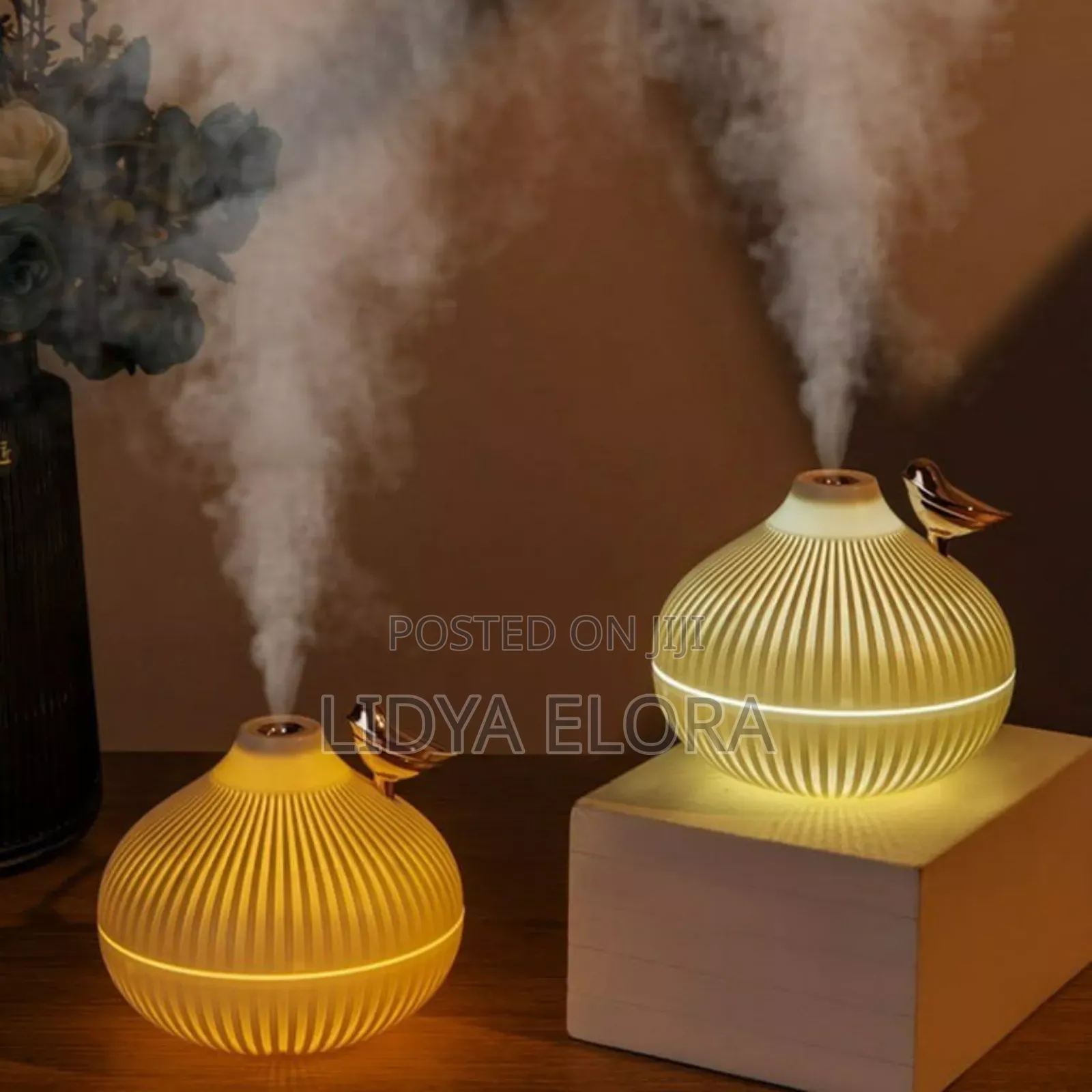 Onion Air Humidifier With LED Light